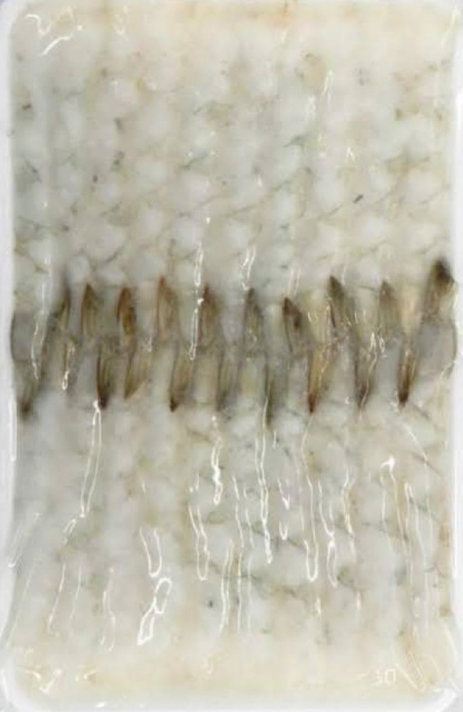 21-25�o�i���C�L�΂��C�V�@20��x40P�@�Ⓚ�@�Ɩ��p