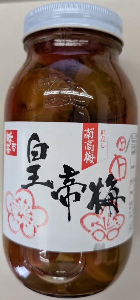 �썂�~�@�c��~�ØI�ρ@1000��x12�{�@���Y