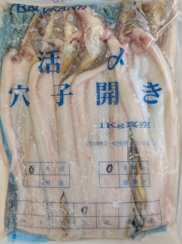 ���Y�^���q�w�J���@3L�@1Kgx10P�@�Ⓚ�@�Ɩ��p