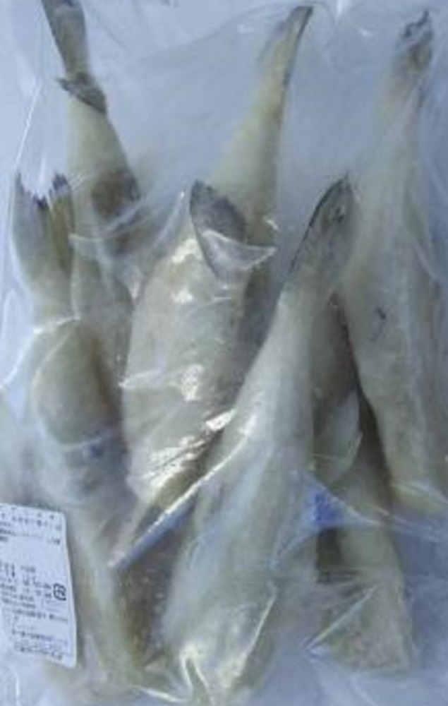 中国産　白さばふぐドレス　1Kg（8-12尾）x12Ｐ　冷凍