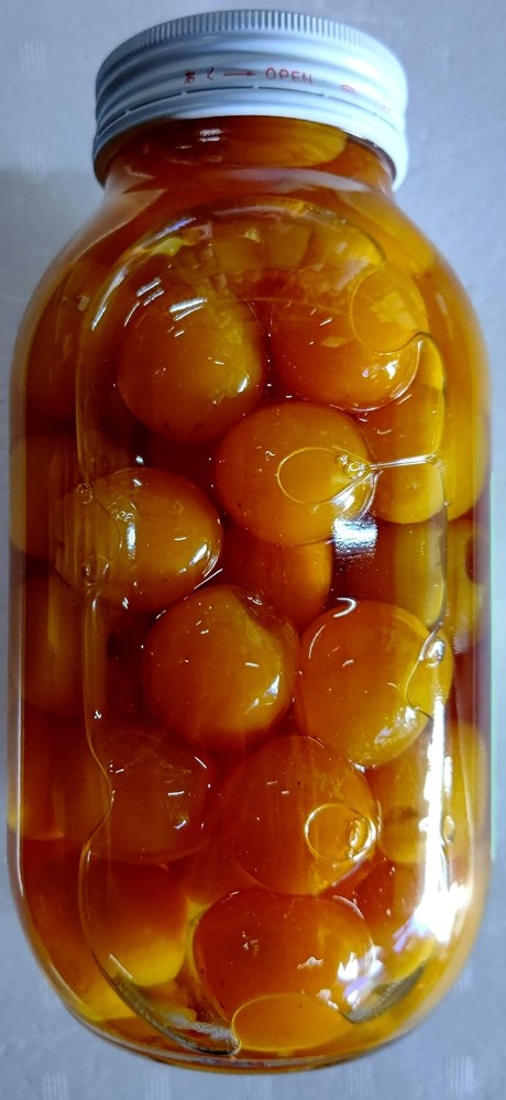 味百華　黄金丸金柑甘露煮　M　1050ｇ（固形550ｇ）x12本