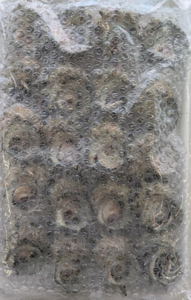 活けさざえ礒焼き　20個x10Ｐ　冷凍　業務用