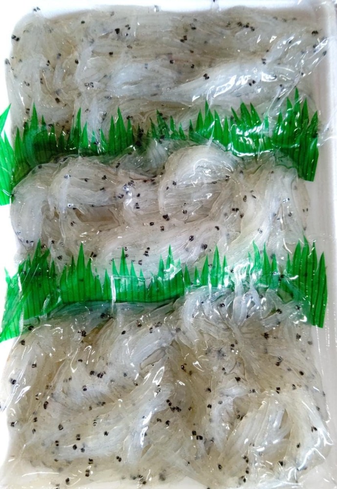 生食用　お刺身白魚　200ｇx60Ｐ　冷凍