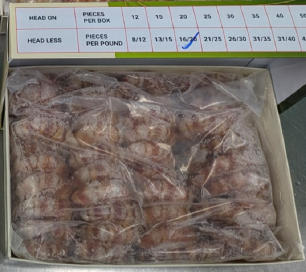 加熱用　無頭車海老　16/20サイズ　セミIQF　1ｋｇ（約40尾）