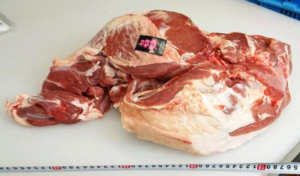 林SPF　もも　1B7K-16