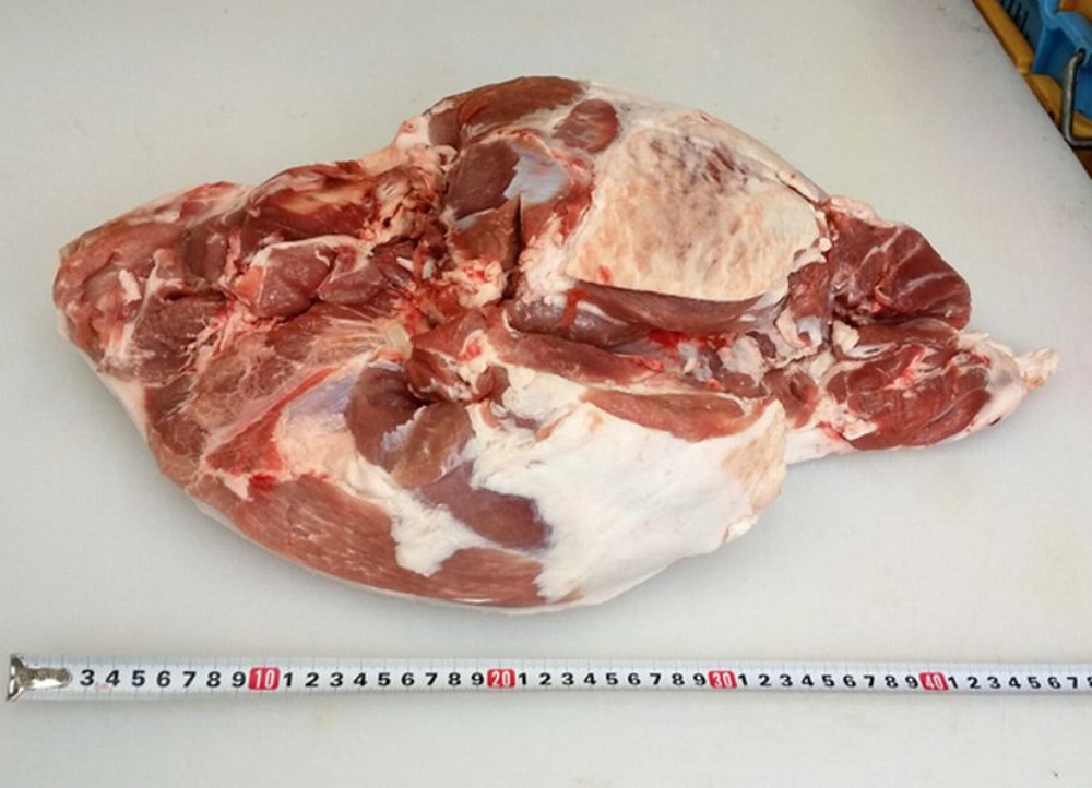 TOKYO　X　もも　1B7K-59