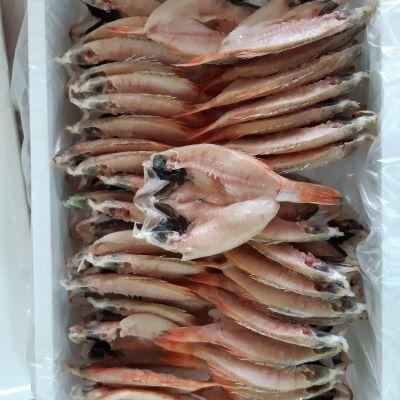 �m�h�O���J����銱���@60/70��