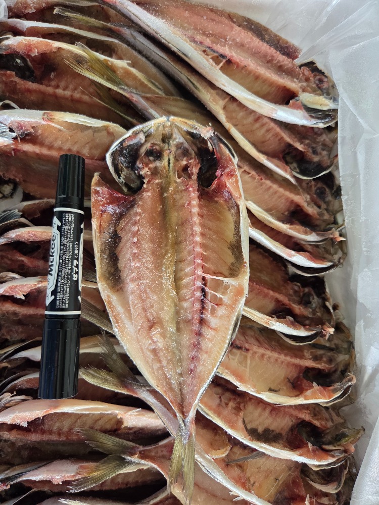 真あじ開き干し　25枚（一枚約100ｇ）