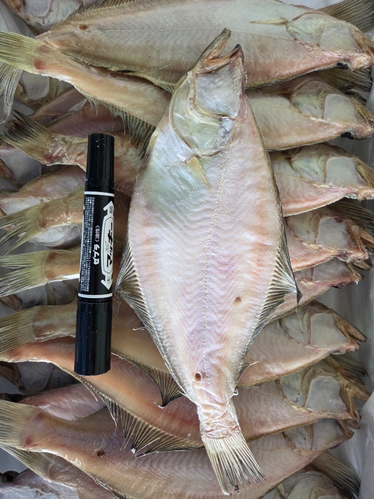 干しカレイ（エテカレイ）100/150ｇ