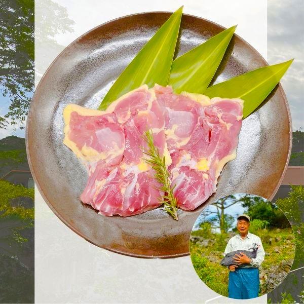 与論島産　ほろほろ鳥　もも肉　10.0kg　ホロホロ鳥　パンタード