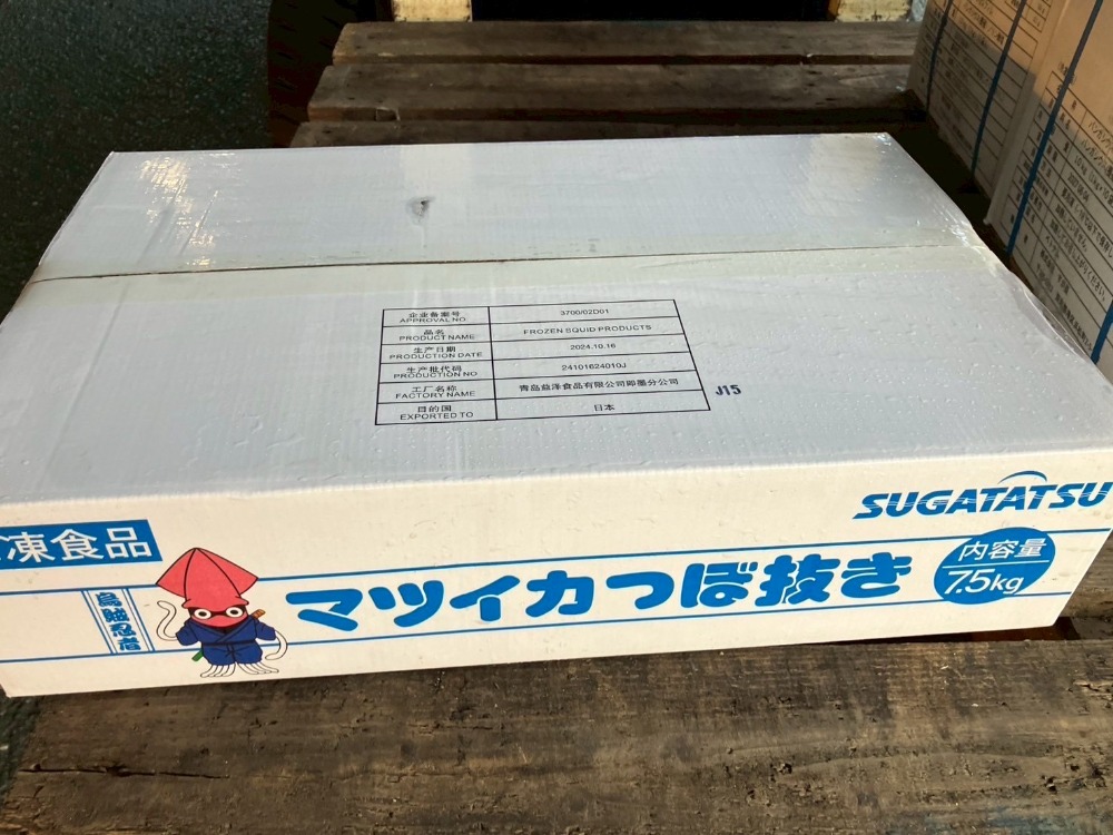 マツイカ　ツボ抜きイカ　7.5kg　40尾