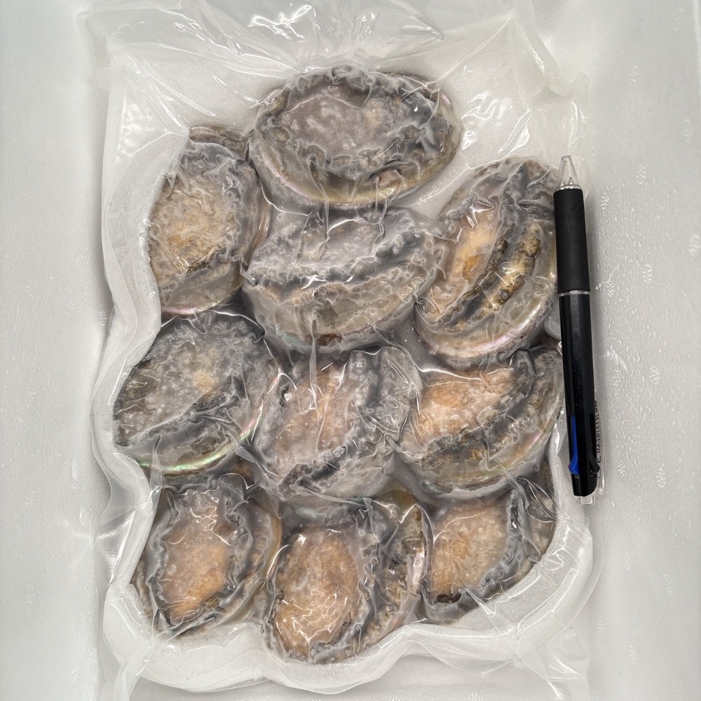 冷凍　アワビ　1kg　10個入　鮑　生食可