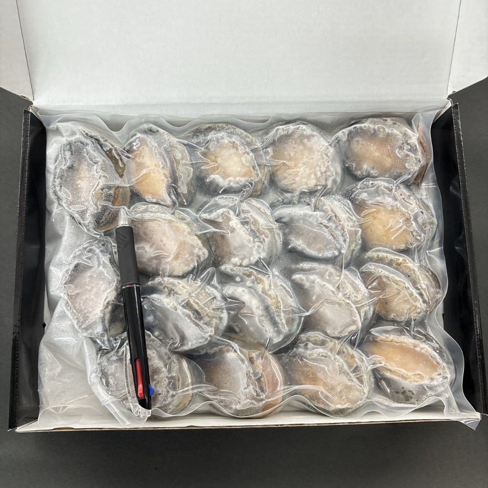 海の虎　活締め　あわび　蝦夷鮑　刺身用　