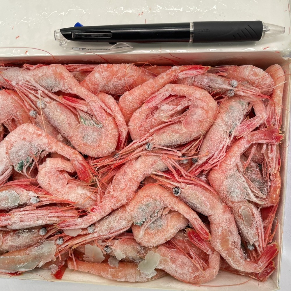 甘エビ　Mサイズ　1kg　刺身　寿司　唐揚げ