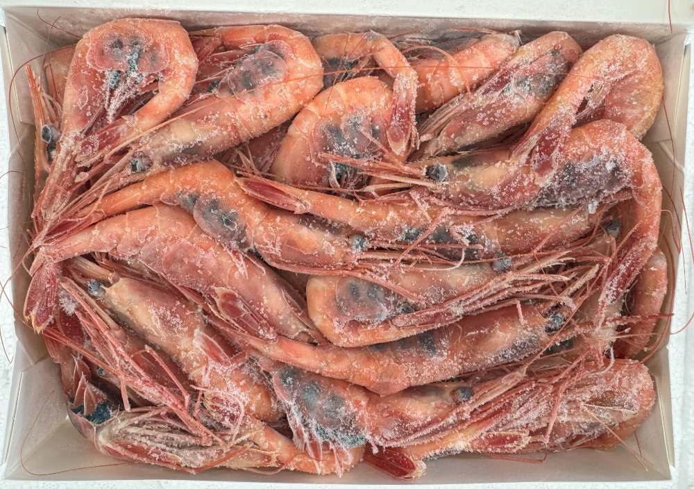 （１ｋｇ販売）甘海老LAサイズ（ロシア）青箱