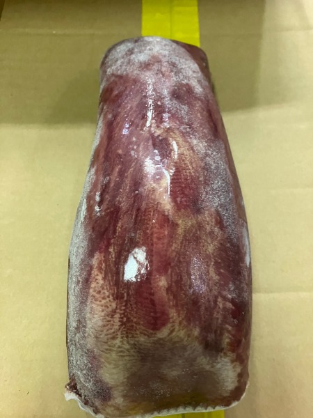 �y�����ʁz�I�[�X�g���A�Y�@���^���@���L�^���@��Ȃ�