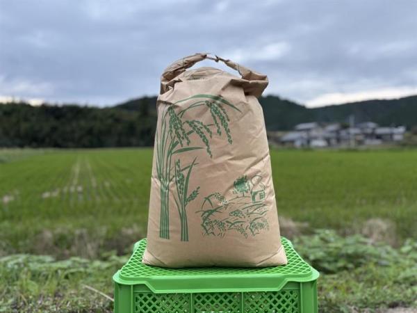 �y���āz������p�B�@�ߘa7�N�Y�@�ɏ�V�Ăɂ��܂�@30kg�@