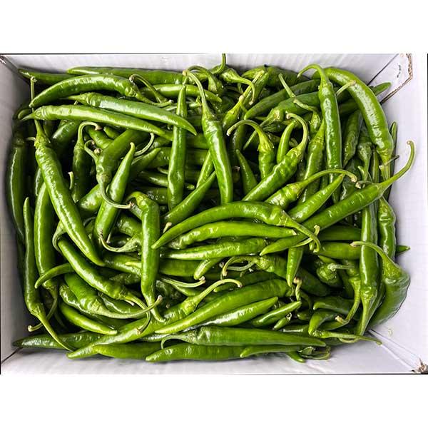 �y�����ʁz�؍����A�����N��؁y�؍��Y�z���h�q�i�P�[�X���j